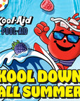 KoolAid PoolAid Berry Splash Artificially Flavored Drink 10 ct Box 6 oz Pouches packaging may vary