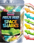 Freeze Dried Gummy Sharks  Premium Candy Shipped in a Box for Extra Protection  Space Age Snacks Space Sharks Freeze Dry Candy for All Ages 3 Ounce