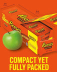 REESE'S Milk Chocolate Snack Size Peanut Butter Cups - 13.75 oz (25 Pieces)