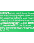 BioK Plus Probiotic Fermented Rice Blueberry Organic 35 Fl Oz Pack of 1