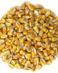 Food to Live Organic Yellow Whole Corn 15 Pounds  NonGMO Maize Cleaned and Dried Kernels Vegan Kosher Bulk Cereal Grain Good Source of B vitamins Thiamin and Folate