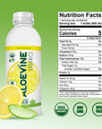 Aloe Vera Juice NoPulp Organic Aloe Vera Drink Healthy Juice with Aloe Powder and Lemon Juice 5 Calories Low Sugar No Artificial Ingredients 169 oz 12 Pack Lemonade  Aloevine Organics