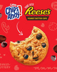 CHIPS AHOY Chewy Chocolate Chip Cookies with Reeses Peanut Butter Cups Family Size 1425 oz