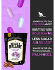 Wiley Wallaby 705 Ounce Classic Black Gourmet Australian Style Soft  Chewy Licorice Candy Bean 1 Pack