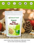 Z Natural Foods Raw Organic Pine Nuts All Natural 100 Pure Vegan NonGMO Kosher GlutenFree Snacks KetoFriendly Snacks 1 lb