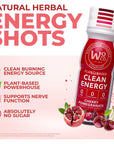 Wholesome Organics Focus Energy Drink Shots - Stress Relieving, No Jitters, No Crash, Ashwagandha, Vitamin B12, Functional Mushrooms, No Sugar - 2.5 FL Oz Cherry Pomegranate Flavor (3 Pack)