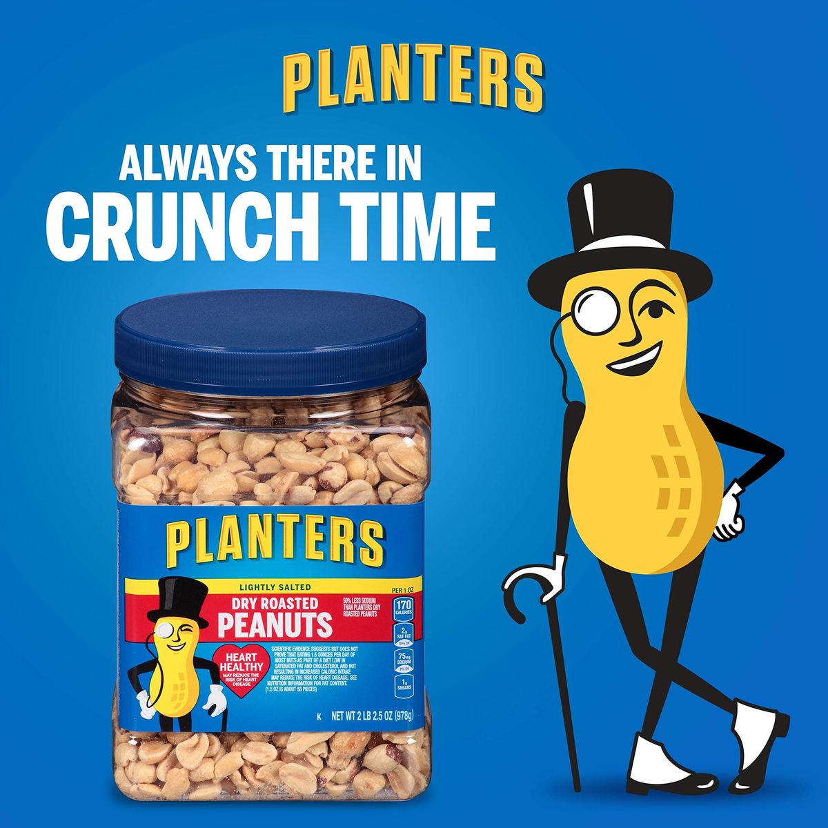 Planters Lightly Salted Dry Roasted Peanuts 6 ct Pack 22 lb Containers