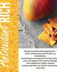 Dried Mango No Sugar Added 16 oz Dried Mangoes Unsweetened Dried Mango Slices Mango Dried No Sugar AllNatural Dried Mangos Dried Unsweetened Mango Dry Mango from AFRICA NonGMO 1 Pound