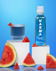 Karma Blueberry Watermelon Energy Water l Caffeinated Natural Energy Drink l Low Calorie Focus and Energy Boost 18 Fl Oz Pack of 12