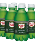 Canada Dry Ginger Ale Soda 10 Fl Oz Cans 6 Pack