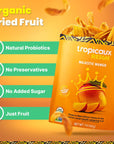 Organic Dried Mango Slices No Sugar Added 16oz  AllNatural NonGMO MouthWatering Dried Mangoes  PreservativeFree Nutritious  Delicious Snack for Kids and Adults by Tropicaux Reign