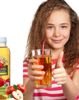 Motts apple juice Apple  Eve Apple 100 Juice No Sugar Added Original Apple White Grape  Orange Sugar Free Juice 10 fl oz Bottles BETRULIGHT Value Pack of 6 Apple Eve Original