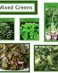 Margaret Holmes Greens Variety Pack  3 x 27 Oz Cans of Margaret Holmes Turnip Greens Margaret Holmes Collard Greens and Margaret Holmes Mixed Greens Bundled with JFS Recipe card