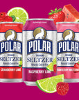 Polar Seltzer Water Berries Variety Pack 12 fl oz cans 18 pack