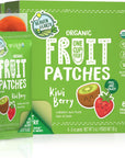 Heaven & Earth Organic Kiwi Berry Fruit Patches, 3oz (2 Boxes of 6 Packets) | All Natural Fruit Snack, Real Fruit, Healthy Snack Pack, Fiber Packed, Gluten Free & Vegan