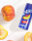 Rani Float Fruit Juice Drink Variety Pack Mango Orange Peach Pineapple Imported from Dubai Made with Real Fruit Pieces Low Sugar 8 oz Pack of 24