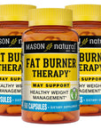 MASON NATURAL Fat Burner Therapy with Chromium, Calcium and Vitamin B6 - Promotes Healthy Body Weight, Supports Weight Management Goals, 60 Capsules (Pack of 3)