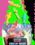 Freeze Dried Gummy Sharks  Premium Candy Shipped in a Box for Extra Protection  Space Age Snacks Space Sharks Freeze Dry Candy for All Ages 3 Ounce