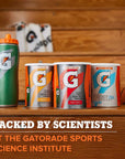 Gatorade Powder Canister Fruit Punch 51 Ounce Pack of 3