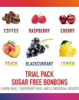 Swiss Imports Sugar Free Bonbons Hard Candy Drops Trial Pack of Cherry Coffee Lemon Peach Blackcurrant and Raspberry 2 14 oz 40g Box and 12 Individually Wrapped Pieces