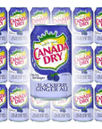 Canada Dry Ginger Ale Blackberry 12oz Can Pack of 18 Total of 216 Oz