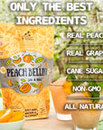 Lt Blenders Peach Bellini in a Bag  Wine Slushie Mixes  Each Bag Makes 12 Gallon of Frozen Peach Bellini Mix  NonGMO Wine Freezer mix  Make with Wine Liquor or as a Mocktail  Pack of 3