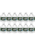 Poland Spring 100 Natural Premium Spring Water  8 Fl Oz Bottles  Pack of 16