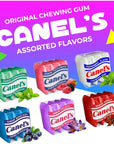 Canels Original Chewing Gum Assorted Flavors 1 Pound Bag  Approx 90 Count