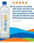 Alkaline88 Purified Ionized Water with Himalayan Minerals  Electrolytes for smooth taste 12 pack 1Liter bottled water Perfectly balanced for your body with 88ph100 Recyclable