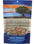 OCEAN RANCH ORGANICS Organic Lemon Blueberry Granola 10 OZ