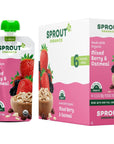 Sprout Organics, Mixed Berry & Oatmeal, 6+ Month Pouches, 3.5 oz (Pack of 12)