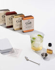 WP Craft Cocktail Kit Margarita Portable Kit for Drinks on the Go Carry On Cocktail Kit Pack of 2