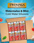 Twinings Cold Infuse Flavored Water Enhancer Watermelon  Mint 12 Count Pack of 6 Enjoy Hot or Iced