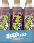 Splash Fizz Black Cherry Flavored Sparkling Water Zero Sugar with Electrolytes 20 Fl Oz 12 Pack