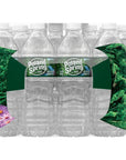 Poland Spring Brand 100 Natural Spring Water 169 oz Plastic Bottles Pack of 24