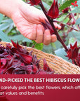 FreshDrinkUS Premium 115 Hibiscus Flowers Tea Bags 100 Natural  Pure from Hibiscus Flowers Loose Flower Hibiscus Herbal Tea Hibiscus Flower Tea No Sugar No Caffeine No Gluten Vegan