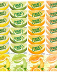 True Lemon - True Lime - Each Packet Fits Into a 16.9 oz. Bottle or Cup