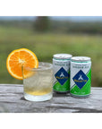 Royal Oak Ginger Ale by Regatta Premium Soda and Cocktail Mixer AllNatural Ingredients 75oz Case of 24 Sleek Cans