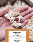 Be Still Farms White Organic Popcorn Kernels 48lb  Hulless Uncooked Corn Bulk Ideal for Popping  Healthy Microwave Snacks Great for Movie Night  USA Grown  USDA Certified  NonGMO  Vegan