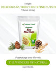 Z Natural Foods Raw Organic Pine Nuts All Natural 100 Pure Vegan NonGMO Kosher GlutenFree Snacks KetoFriendly Snacks 1 lb