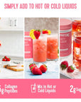 Vital Proteins Beauty Collagen (Strawberry Lemon, Canister) - 120mg of Hyaluronic Acid and 15g of Collagen Per Serving