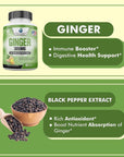 Ginger Root Capsules Organic 3850mg - 90 Veg Capsule