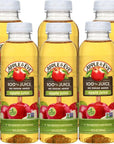 Motts apple juice Apple  Eve Apple 100 Juice No Sugar Added Original Apple White Grape  Orange Sugar Free Juice 10 fl oz Bottles BETRULIGHT Value Pack of 6 Apple Eve Original