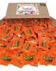 Reeses Milk Chocolate Peanut Butter Cups Bulk  Individually Wrapped Miniature Peanut BiteSize Treat Candies Snack Encased in a Crunchy Milk Rich Chocolate Shell Melt in Your Mouth Craving 5lb Bag Party Candy