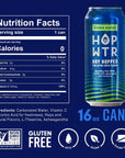 HOP WTR Sparkling Hop Water Sugar Free Low Carb Non Alcoholic Drinks NA Beer Adaptogen Drink No Calories 16 Fl Oz Pack of 12 Double Hopped