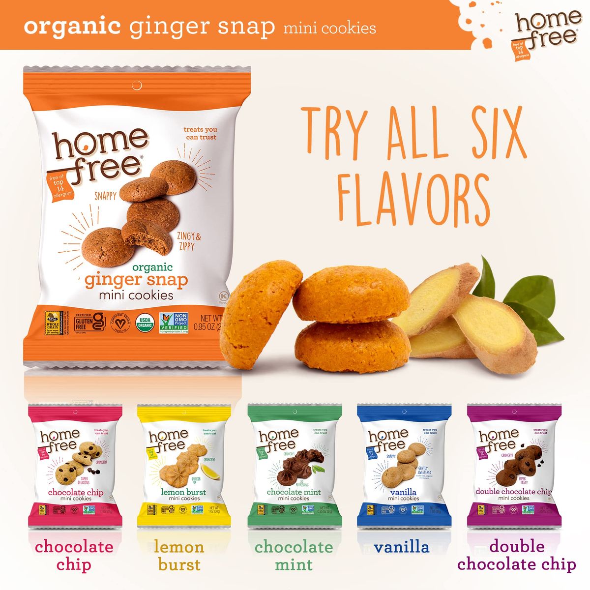 Homefree Mini Ginger Snap Cookies Organic Gluten Free Nut Free Vegan Individually Wrapped Packs School Safe and Allergy Friendly Snack 095 oz Pack of 10