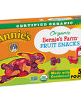 Annie's Gluten Free Organic Bernie's Farm Fruit Snacks, 4 Oz, 5 Ct