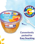 Dole Fruit Bowls Tropical Fruit in 100 Juice Snacks 7oz 12 Total Cups Gluten  Dairy Free Bulk Lunch Snacks for Kids  Adults