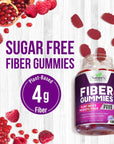 Sugar Free Fiber Gummies for Adults, Daily Prebiotic Fiber Supplement & Digestive Health Support - Supports Regularity & Digestive Health, Nature's Plant Based, Non-GMO, Berry Flavor - 120 Gummies