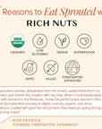 Rich Nuts Maple Pecan Gourmet Sprouted Pecans  Vegan Paleo Keto  Made with Maple Syrup Vanilla Extract and Sea Salt  NonRoasted from Dehyrdated Germinated Raw Whole Pecans  4 Oz Bag 2 Pack